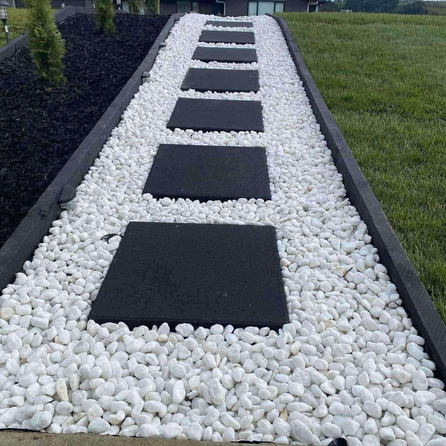 Snow White (Medium Size 20kg)