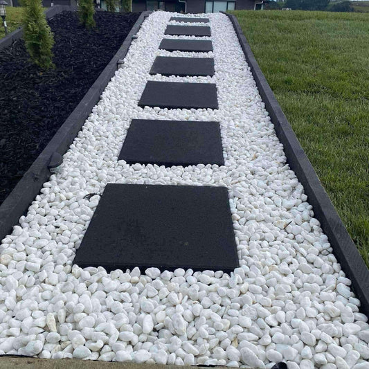 Snow White (Medium Size 20kg)