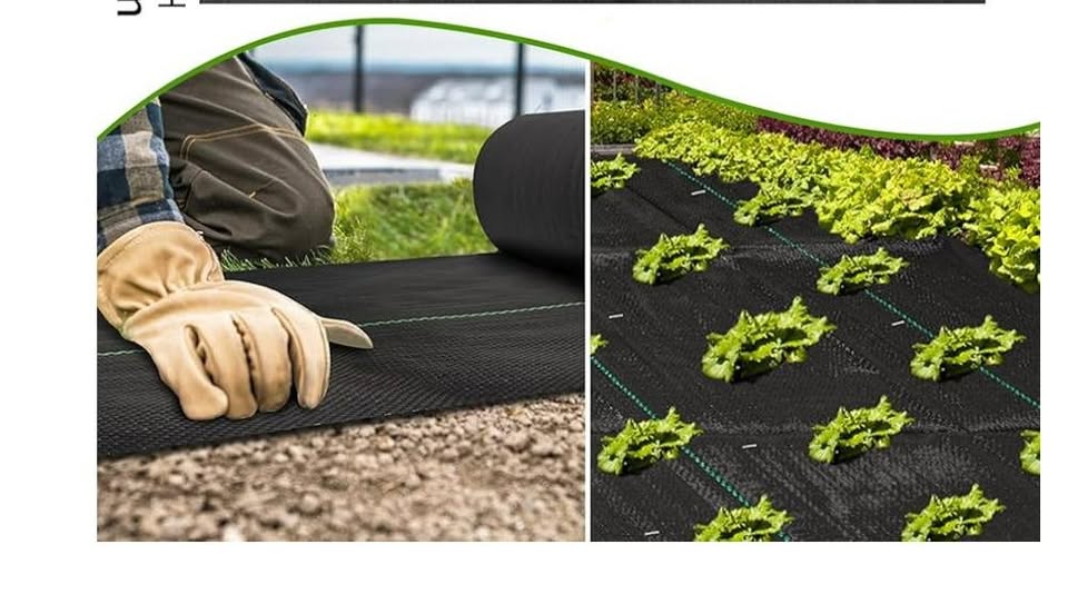 Weedmat 100 GSM 1x50m
