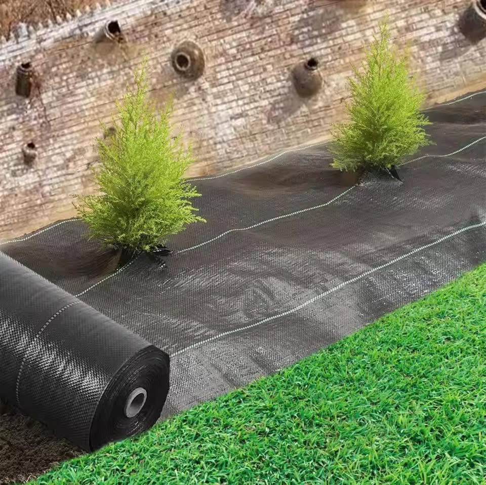 Weedmat 100 GSM 2x50m