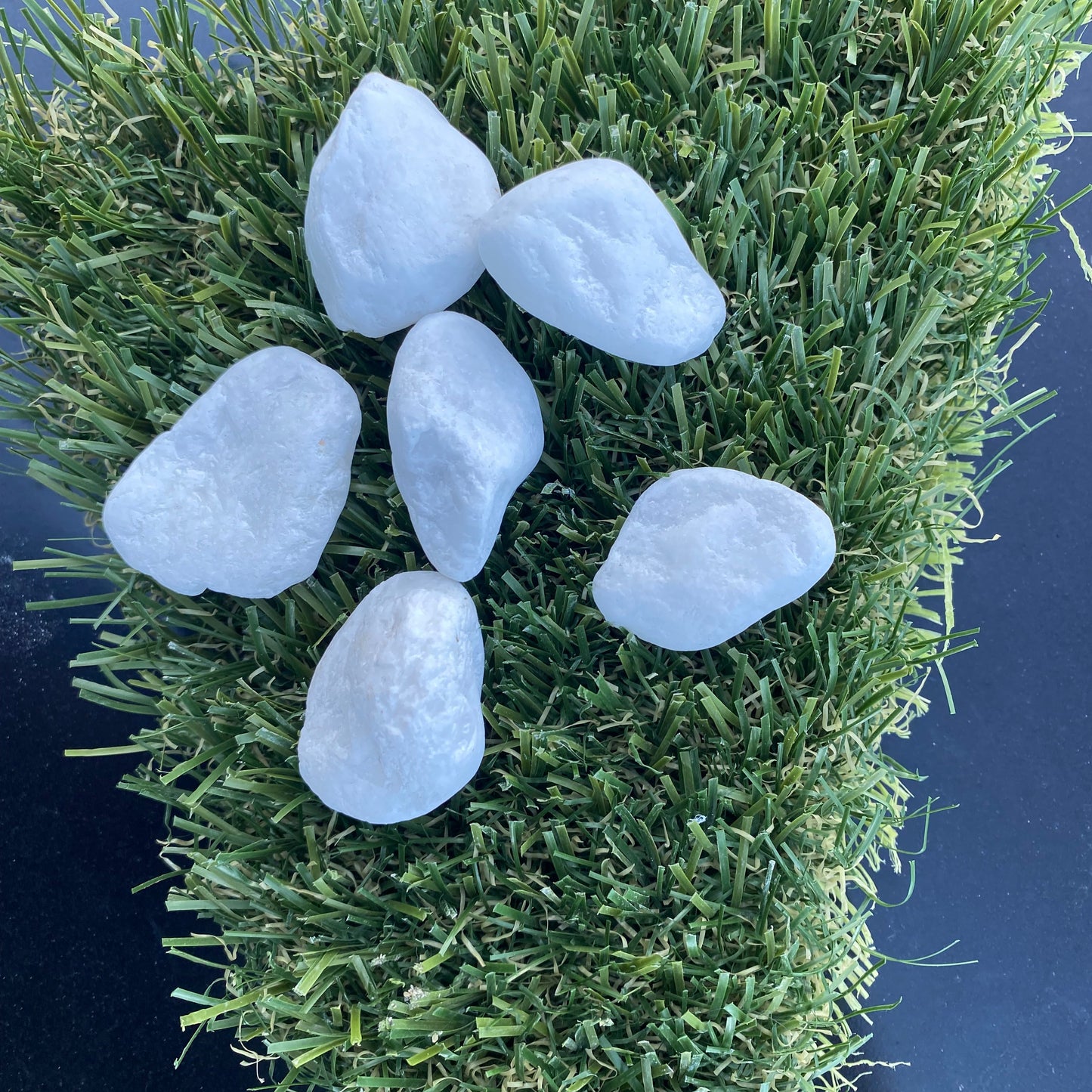 Snow White (Small Size 20kg)