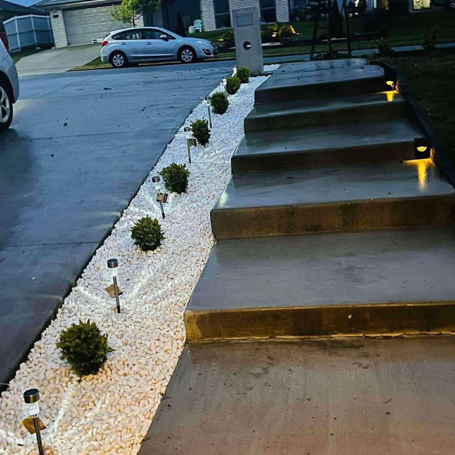 Snow White (Small Size 20kg)